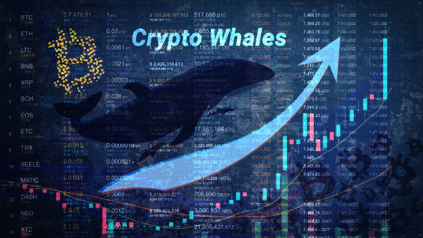 2024年上半年中心化交易所现货交易量激增，Bitget市场份额跃升