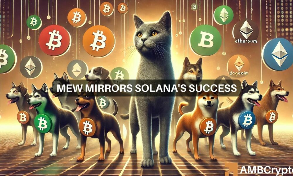 为什么Solana的MEW可能是本周你的首选模因币