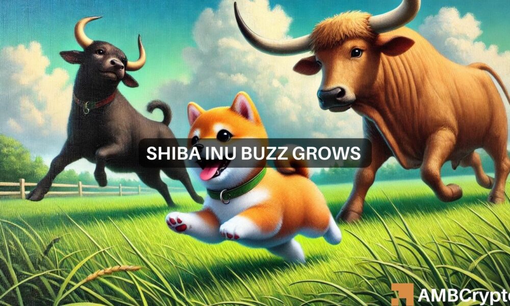 检查Shiba Inu的市场动态：交易量困境对比特币的提振