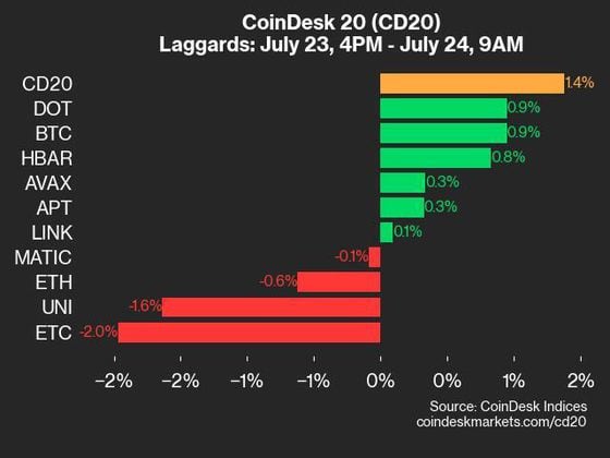 9am CoinDesk 20 Update for 2024-07-24 - laggards