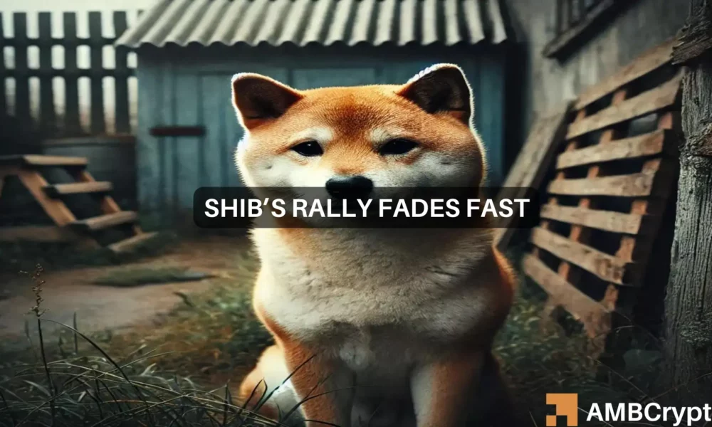 Shiba Inu价格预测：为什么交易者应该为更多的损失做好准备