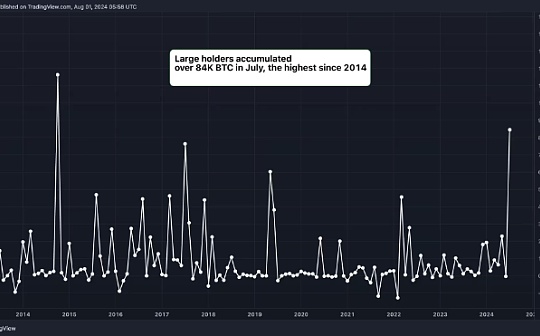 数据显示 大型比特币持有者 7 月份增持了 54 亿美元的 BTC