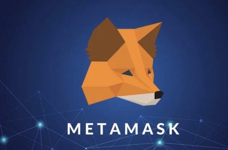 How to Add VeChain to MetaMask?