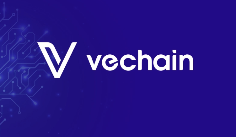 如何将VeChain添加到MetaMask？