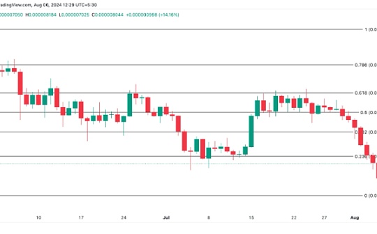 PEPE 价格在 24 小时内飙升 18%、但可能不会持续