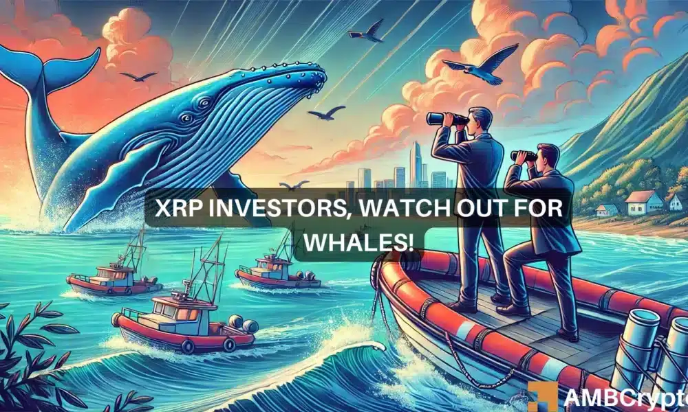 XRP鲸鱼从交易所转移了1.57亿个代币——买入信号？