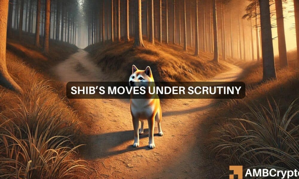 Shiba Inu上涨28%：SHIB在改变路径后会保持牛市吗？