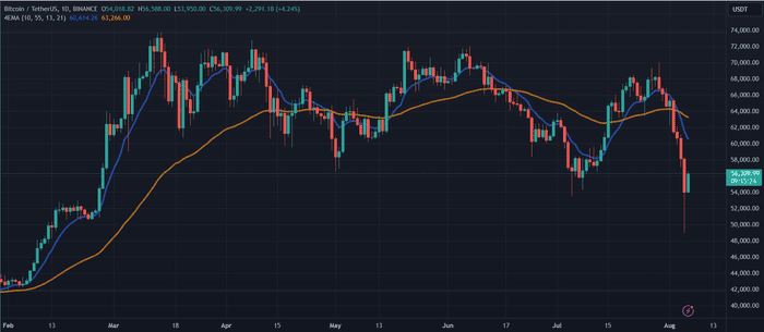 Bitwise 首席信息官认为加密货币崩盘为比特币的繁荣奠定了基础——关键原因