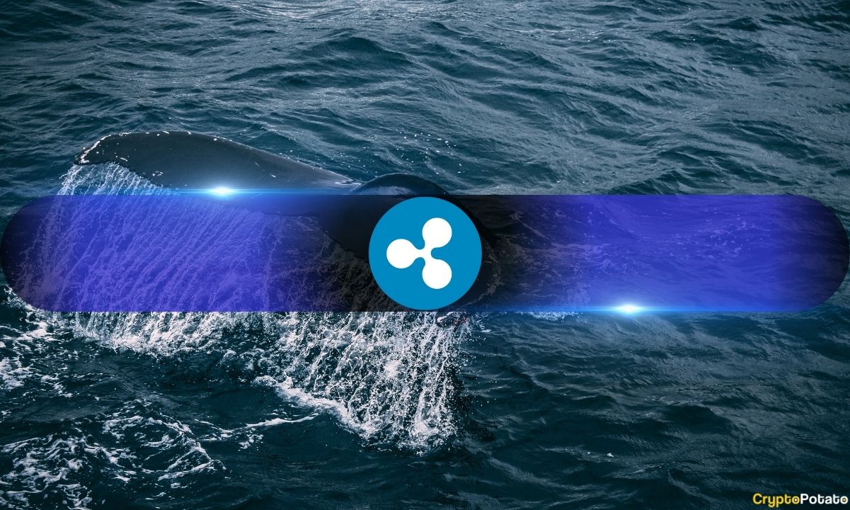 XRP Whale Holdings在Ripple诉SEC诉讼更新中创下历史新高