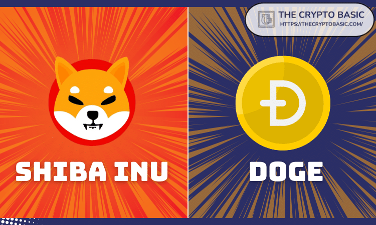 Shiba Inu领导Trolls Dogecoin即将到来的游戏