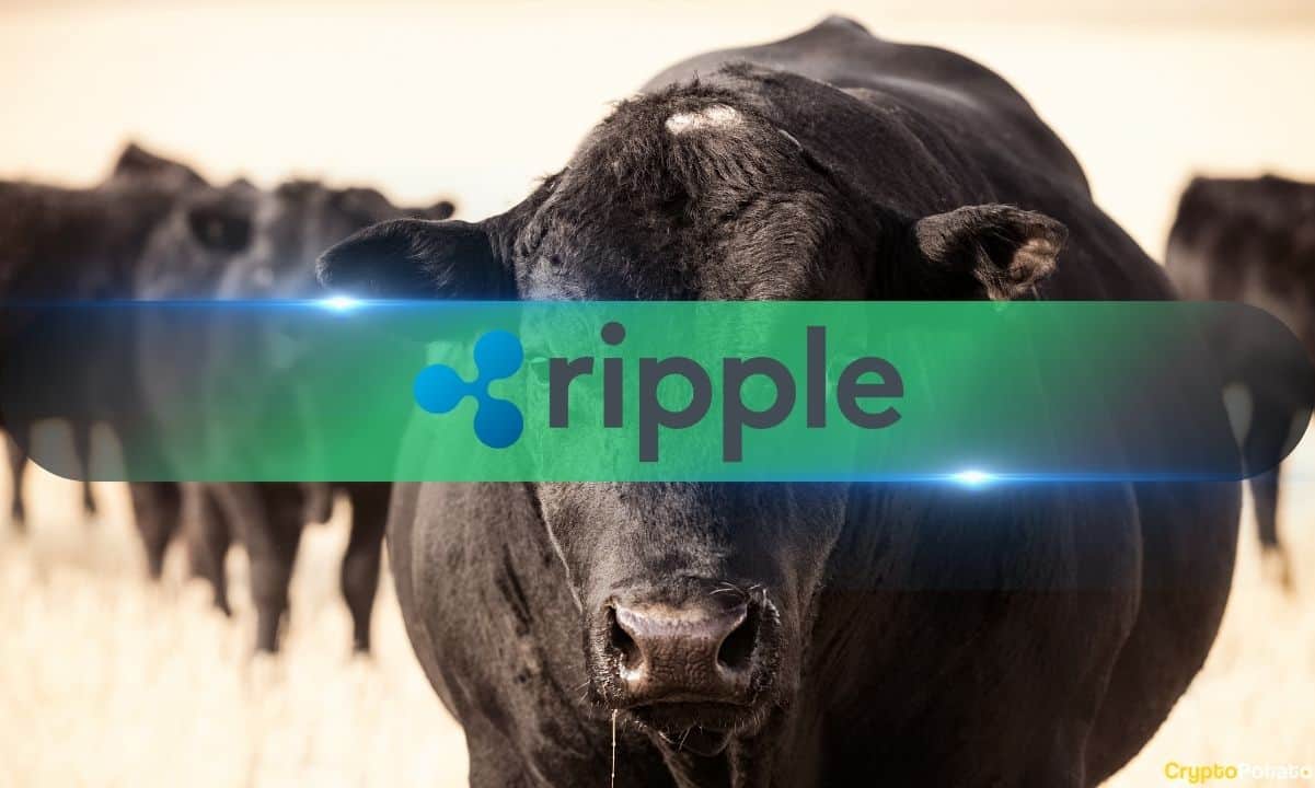 Ripple Labs XRP的4个长期牛市信号