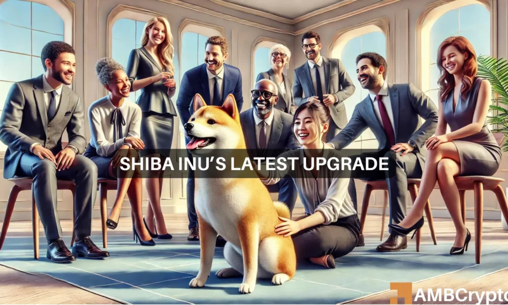 Shiba Inu的最新硬分叉——识别其潜在的价格影响