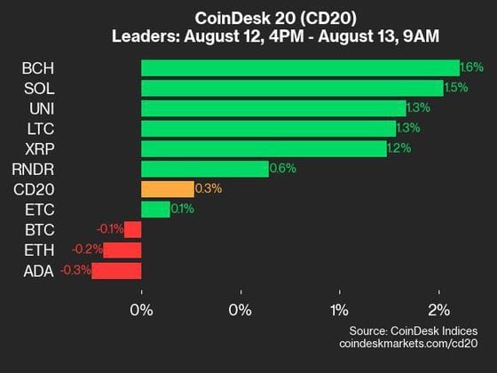 9am CoinDesk 20 Update for 2024-08-13: leaders