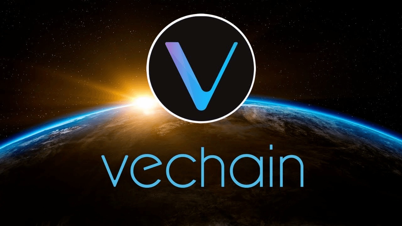 VeChain：到2030年，1000美元的VET能让你成为百万富翁吗？