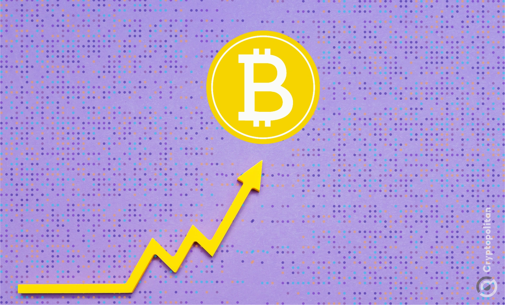 现货比特币ETF飙升44%资产管理公司增持