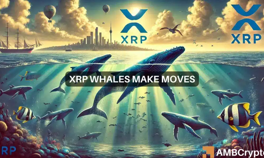 XRP抛售即将到来？鲸鱼倾倒了4600万枚代币，这意味着…