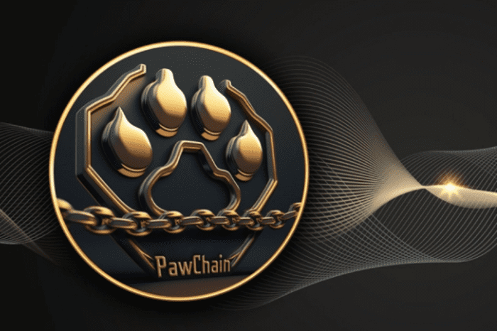 PAW Chain 的 Layer 3 区块链：去中心化金融领域的新竞争者