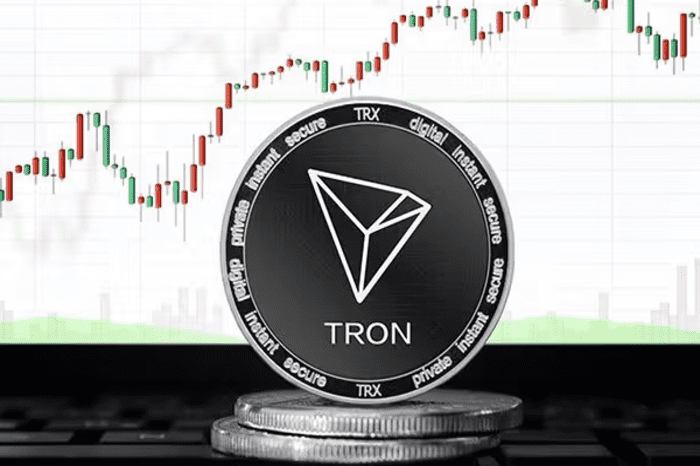 Tron 价格超越比特币：TRX 能否保持上涨势头？