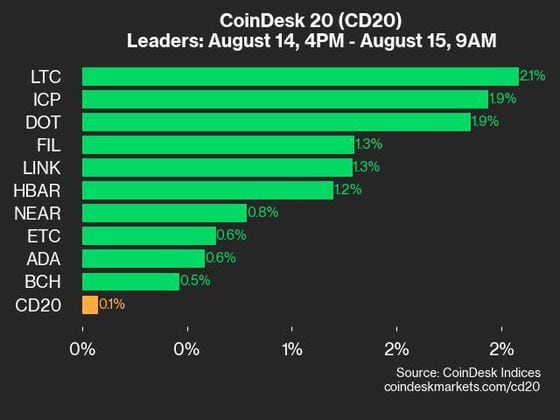 9am CoinDesk 20 Update for 2024-08-15: leaders