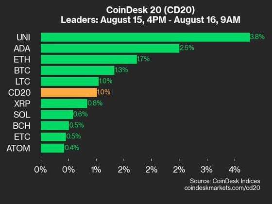 9am CoinDesk 20 Update for 2024-08-16: leaders