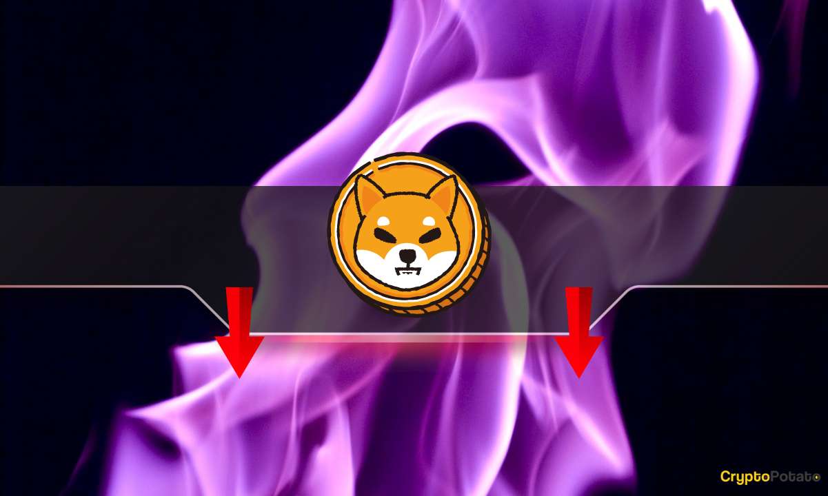 Shiba Inu燃烧率暴跌90%：SHIB价格是否处于危险之中？