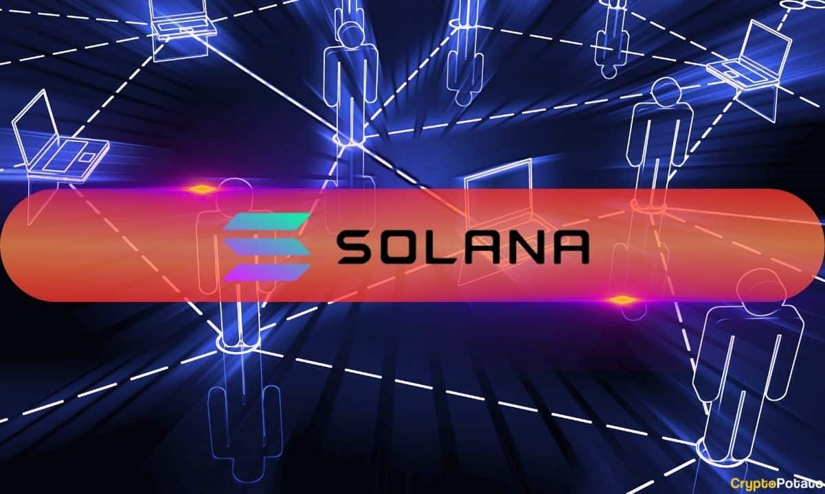 Solana Meme币的下跌在熊市转变中引发了创纪录的3900万美元流出