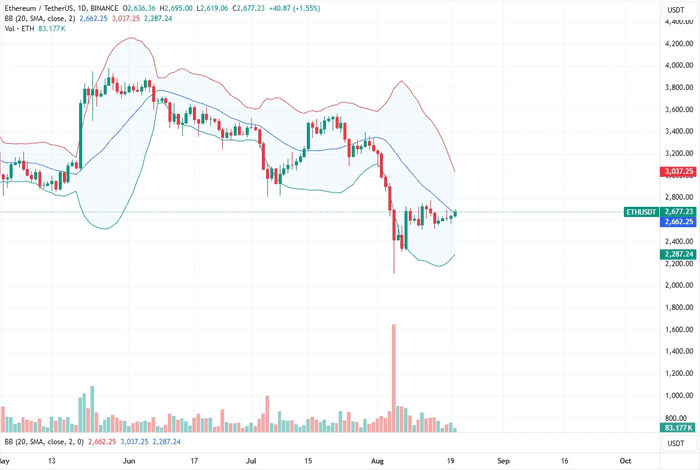 从日线图上看，以太坊走势紧张。尽管有迹象表明以太坊走强，但多头未能推高是乐观交易者担心的问题。不过，以太坊仍处于重要支撑线上方，3,300 美元的水平仍然至关重要。除非有动向推动以太坊上涨或下跌，否则保守、喜欢冒险的投资者可以保持观望，直到趋势明确。  尽管以太坊的势头不振，但交易员们仍然持乐观态度。日线图上的价格走势表明，以太坊在日线图和周线图上持平。然而，值得注意的是，参与度大幅提升，过去 24 小时内上涨至 128 亿美元以上。 以太坊价格分析 ETH/USD现货汇率持平。  尽管信心十足，但该货币仍处于看跌形态，难以扭转 8 月 5 日的涨势。  短期内，保守的交易者可以等待收盘价突破 2,700 美元或 2,100 美元后再入场。最好是，这次突破必须伴随着更高的成交量，超过 8 月 5 日的成交量。  与此同时，只要价格低于 2,700 美元，激进的交易者就可以在每次尝试上涨时做空。这一前景将与 8 月 4 日和 5 日的损失相一致。  下一个目标将是 1,800 美元和 1,500 美元。