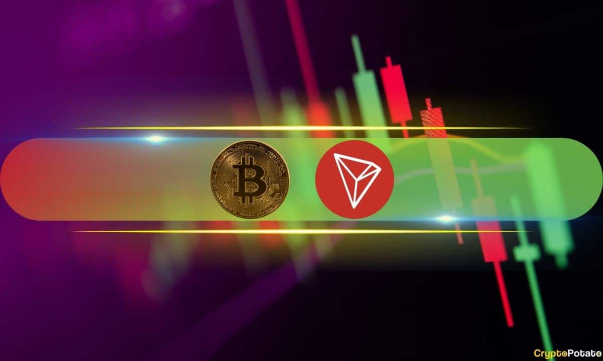 Tron（TRX）每日爆炸12%，比特币（BTC）跌破6万美元（市场观察）