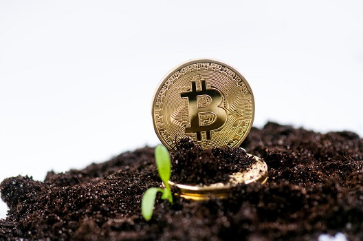 Bitfarms同意以1.75亿美元的股票和债务收购Stronghold Digital-CoinJournal