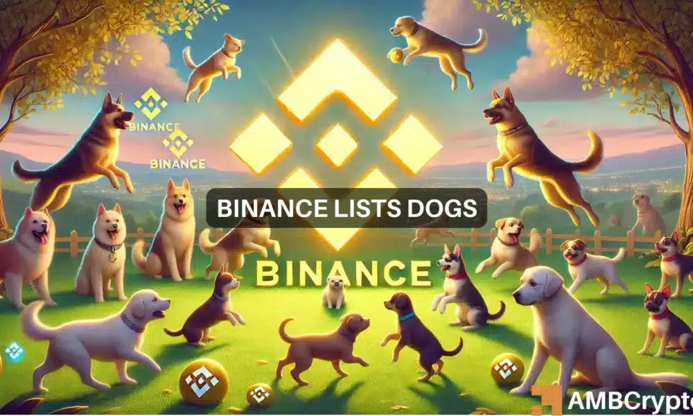 BNB和DOGS在币安Launchpool列出模因币时的表现如何