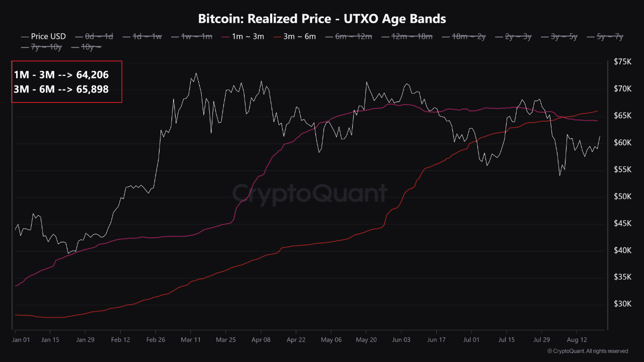 quicktake-image