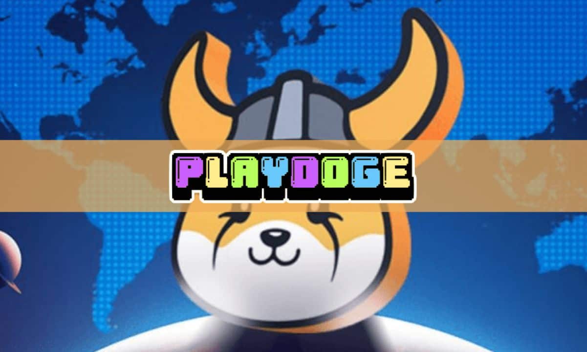 PlayDoge ICO在筹集超过600万美元后将在3天内结束——PLAY会成为下一个FLOKI吗？