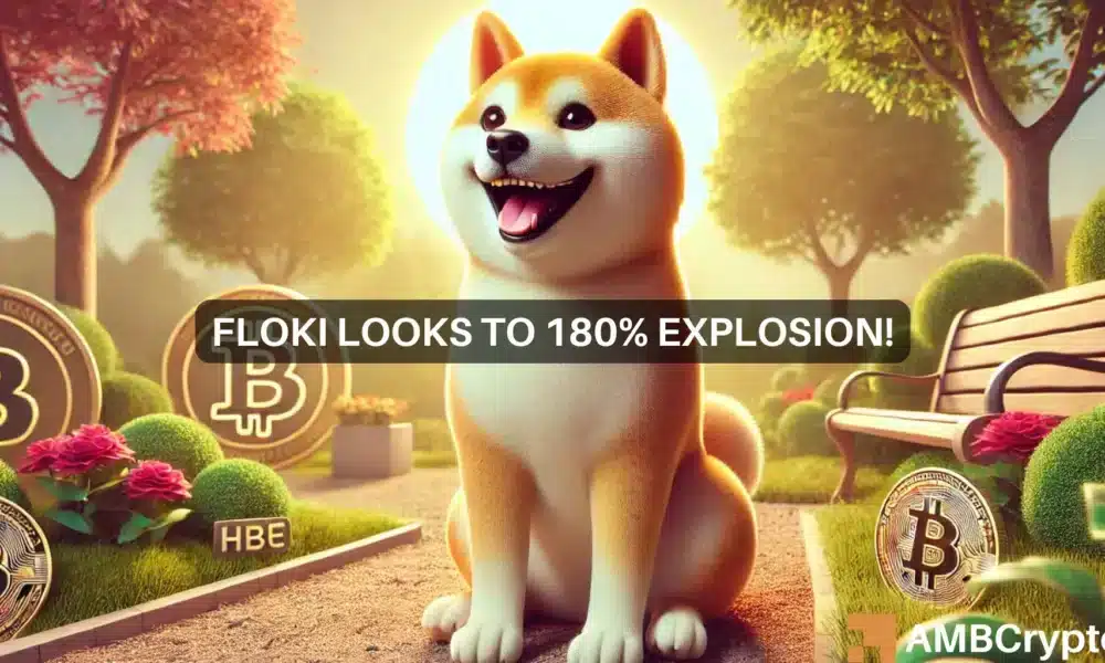 Floki Inu势头强劲：下一个价格会上涨180%吗？