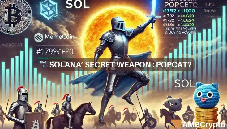 Solana的小幅增长可能与POPCAT模因币有关——以下是如何