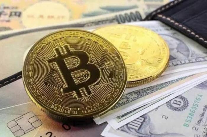 Bitcoin Maxi 首席执行官预计 BTC 销售门槛为 1 万美元 – 详情