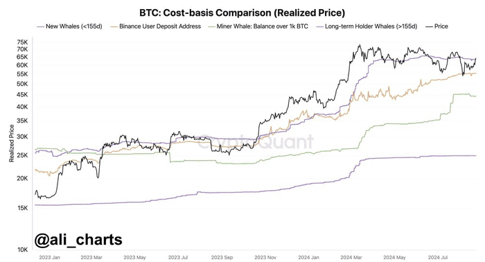 比特币分析师：如果 BTC 下跌，需要关注 4 个关键支撑位