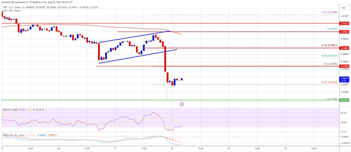 XRP 价格逆转：还会有更多损失吗？