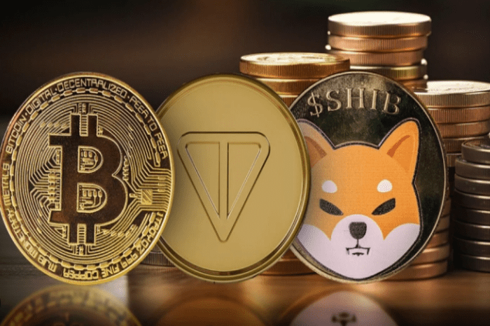 柴犬 (SHIB) 处于危险之中，Toncoin (TON) 复苏受阻：下一步怎么办？比特币 (BTC) 的“暴跌市场”引发一些麻烦