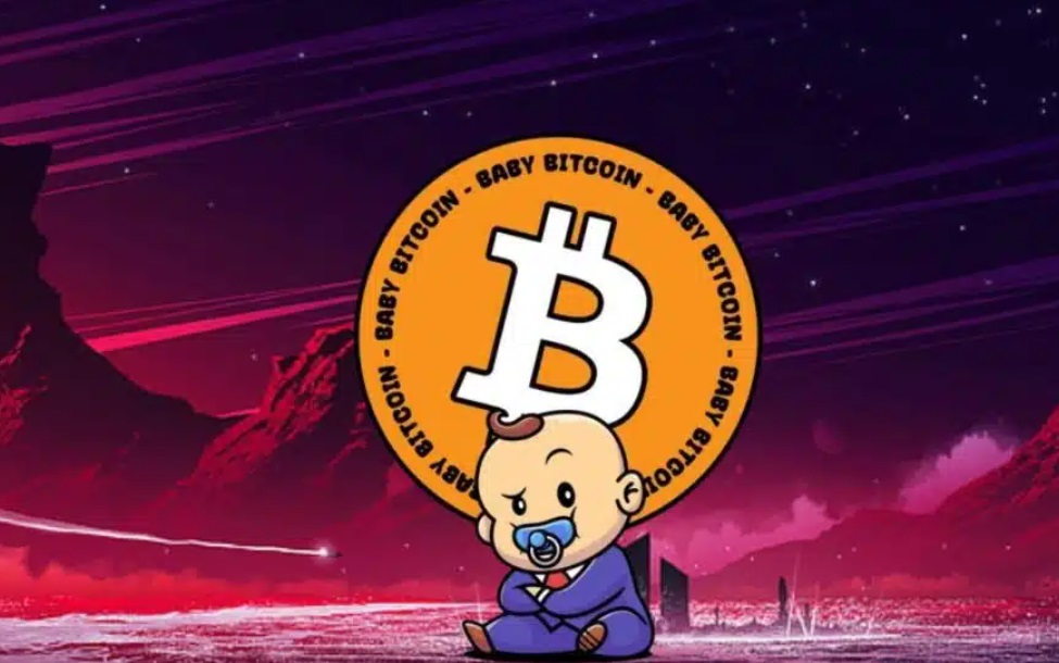 随着这款 Meme Coin 质押 ICO 突破 760 万美元，Baby BitCoin 价格飙升 108%